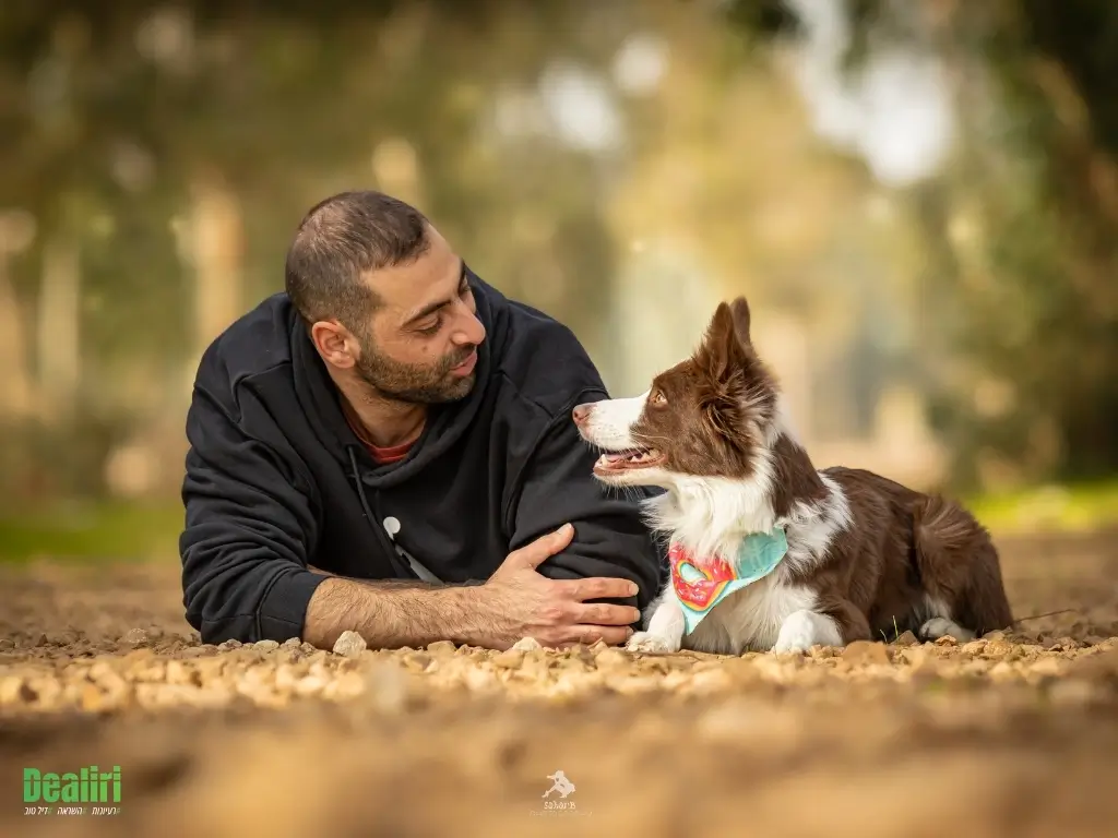 דורון מאלף כלבים