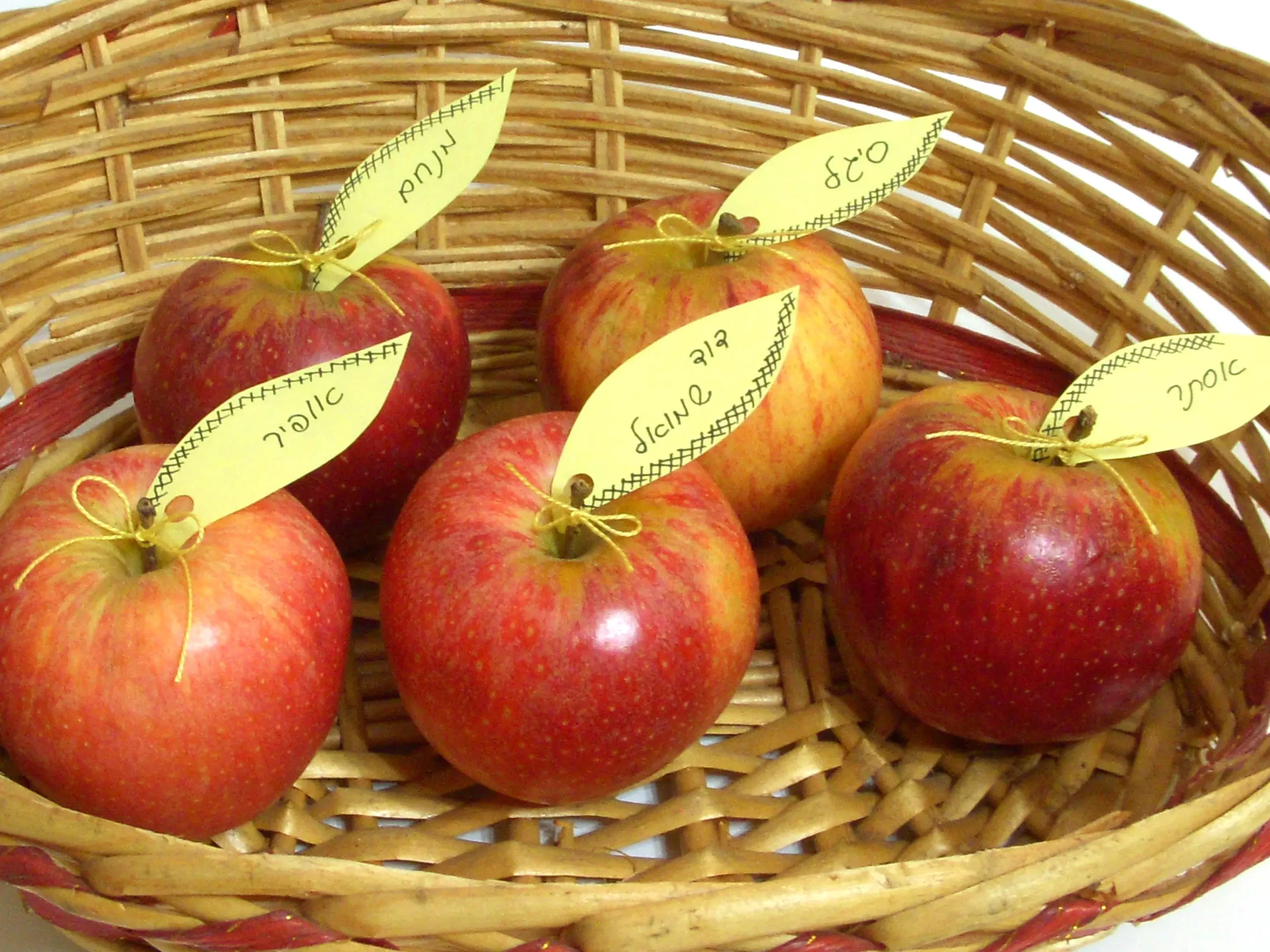 פתקי סידור ישיבה